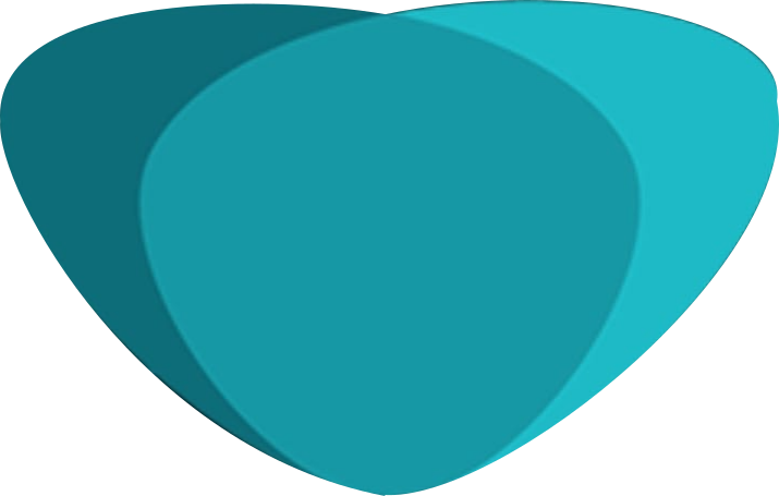 Cognitive Process Profile